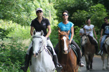 Italy-Northern Italy-Monferrato Wine Trail